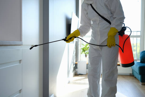 Best Mold Remediation Services  in Reedsburg, WI