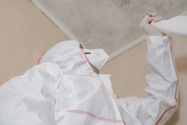 Best Residential Mold Removal  in Reedsburg, WI